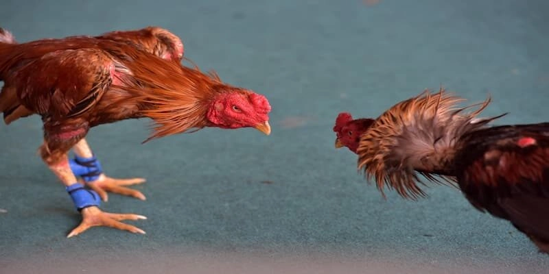 Một số hình thức hiện có Một số hình thức hiện có